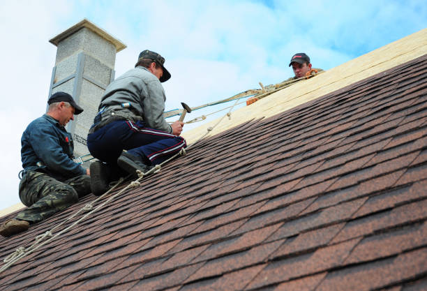 Best Roof Waterproofing Services  in Riverview, MO